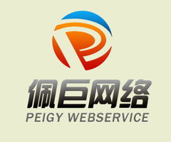 南京佩巨网络科技 创新驱动，引领数字未来