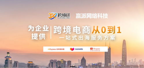跨境廷·赢派网络科技 全球化数字战略的卓越伙伴